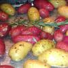 Rosemary Fingerling Potatoes